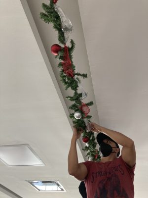 IMG 3022