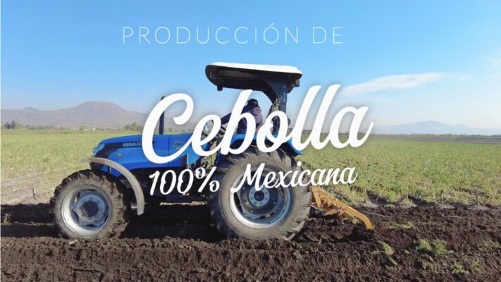 Portada Oroverde Impulsa tu emprendimiento con asesorías en diseño, marketing y publicidad.